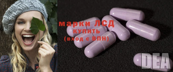 ECSTASY Белокуриха
